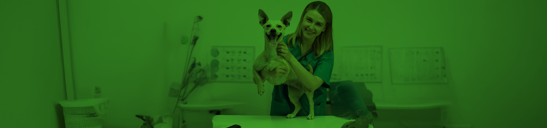 Donna con cane in ambiente veterinario.